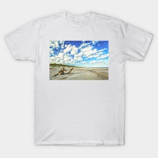 Amelia Island Dunes T-Shirt